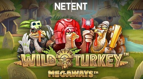 Recommendations For NetEnt Slot Games